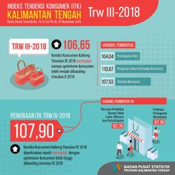 Tingkat Optimisme Konsumen Pada Triwulan III-2018 Lebih Rendah Dari Triwulan II-2018 (Nilai ITK Sebesar 118,11)